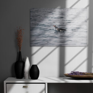 The Swimming Penguin